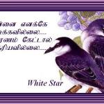 Theriyavillai.......