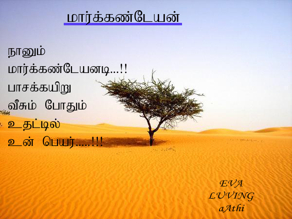 markaNdeyan