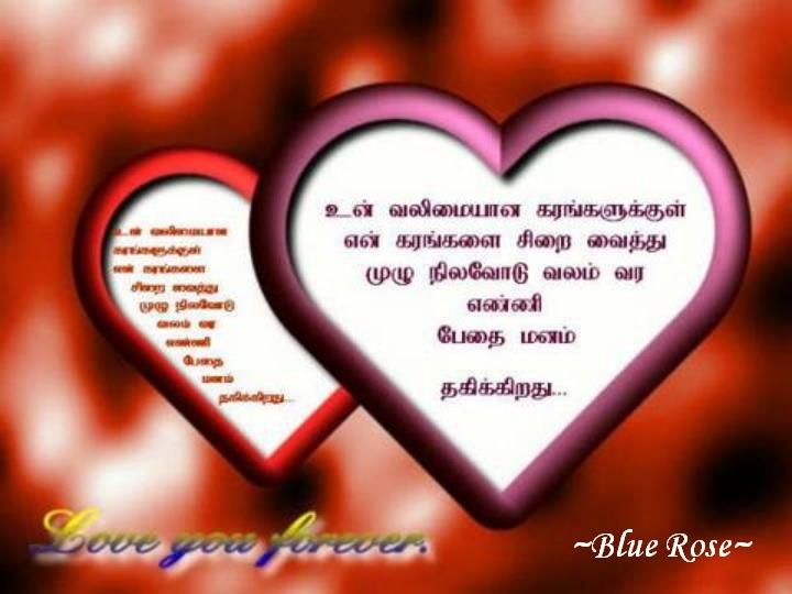 2002161458018982828 rs