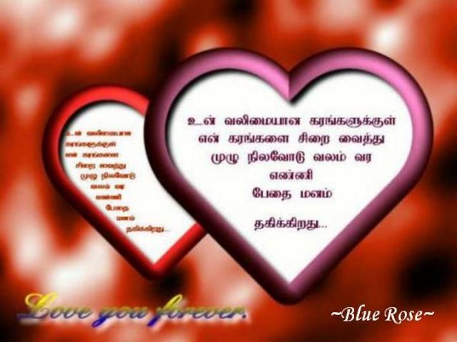 2002161458018982828 rs