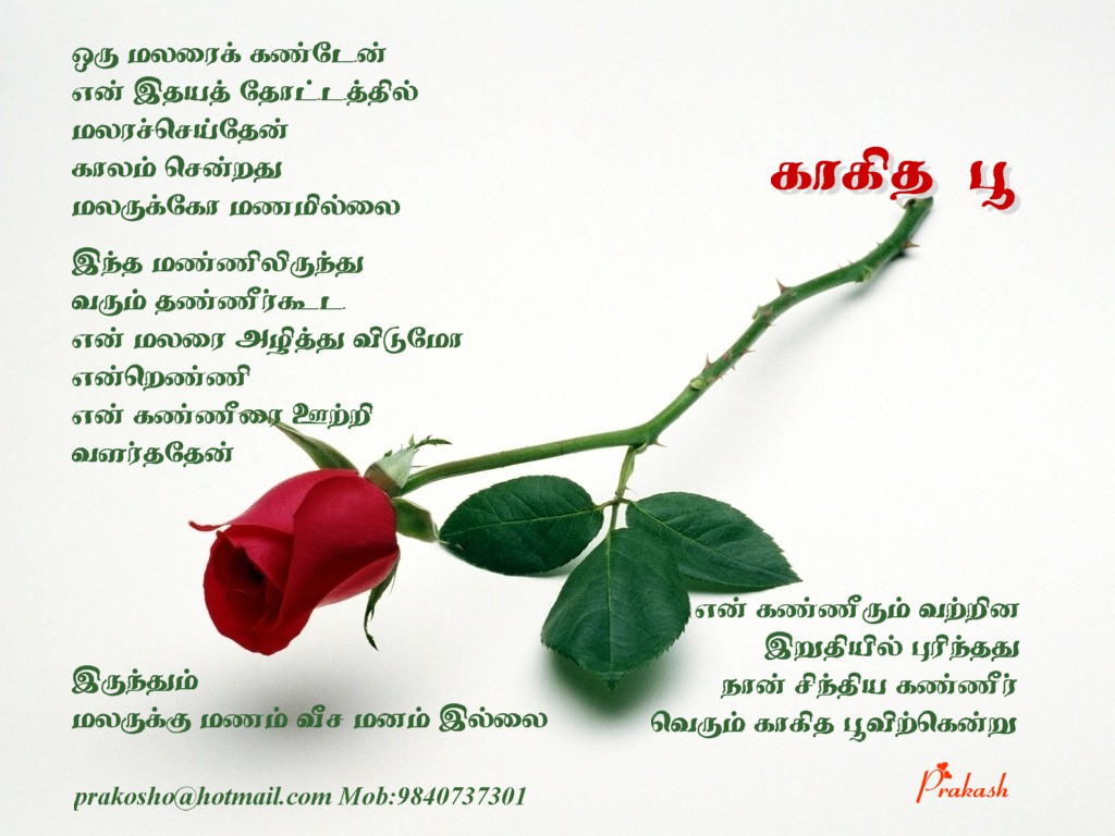 KAAKITHA POO