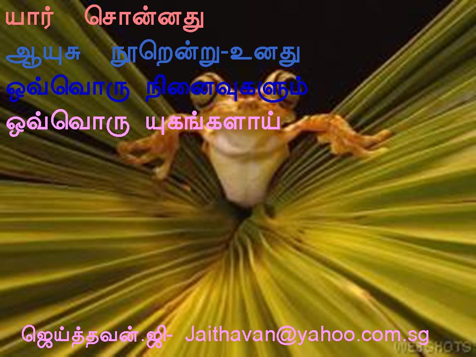 NINAIVUKAL