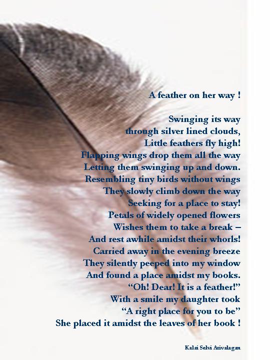 Story of a feather !