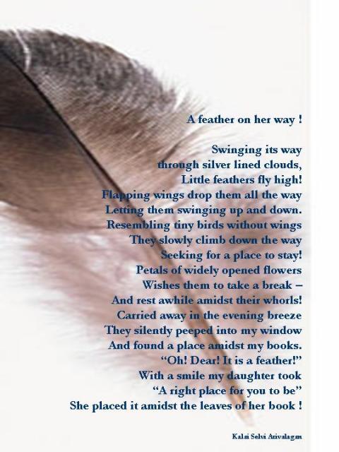 Story of a feather !