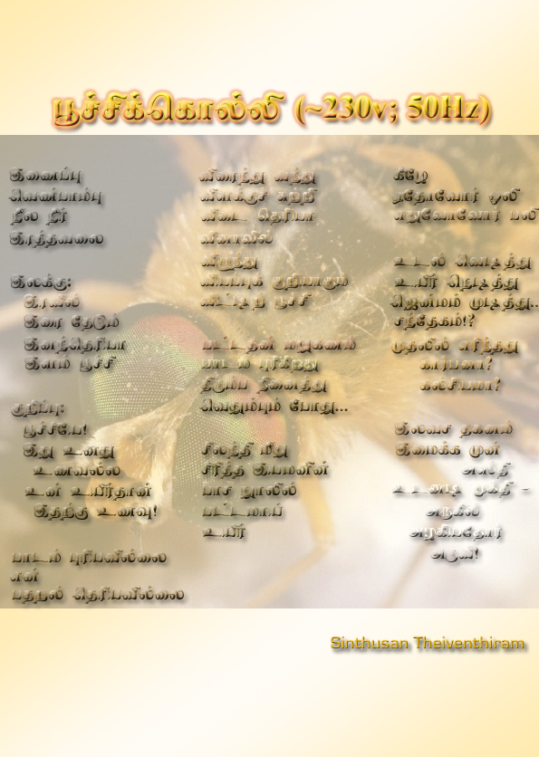 Poochi-Kolli by Sinthusan Theiventhiram