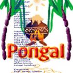 PONGALO PONGAL !!