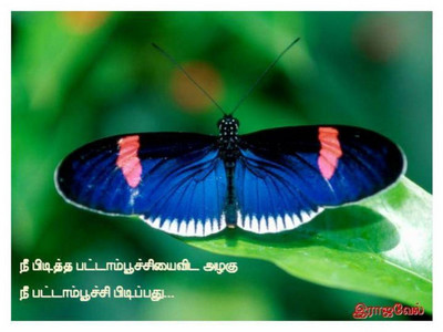 Slide24