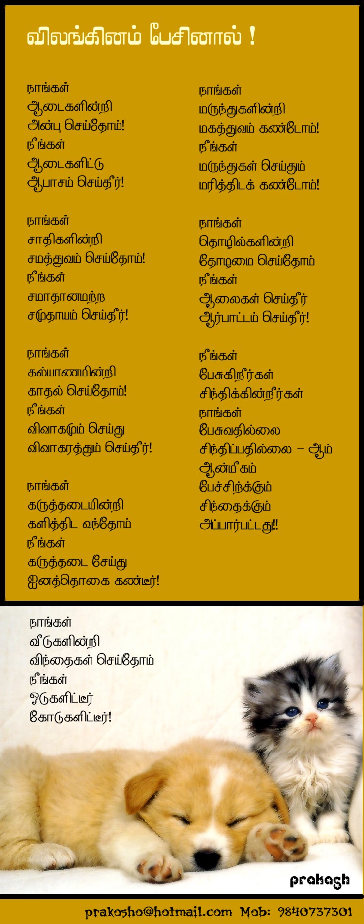 VILANGINAM PAESINAAL