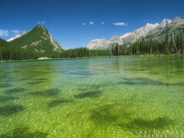 iver under water