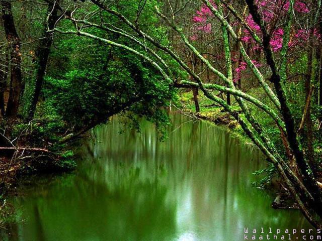green river