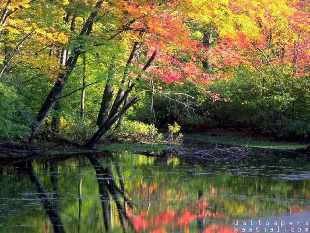 colorful river