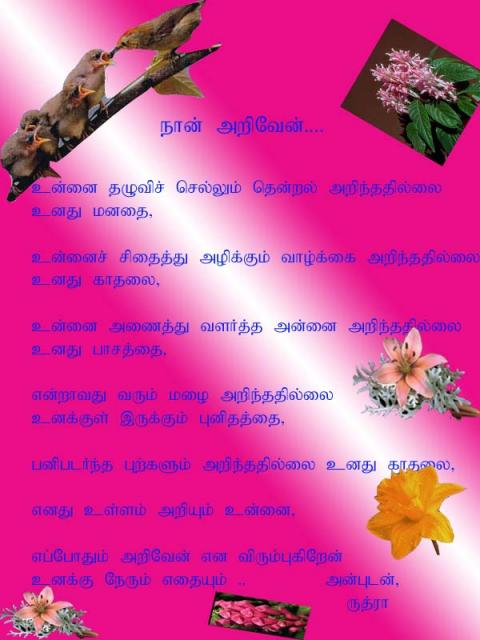 mypicture.jpg