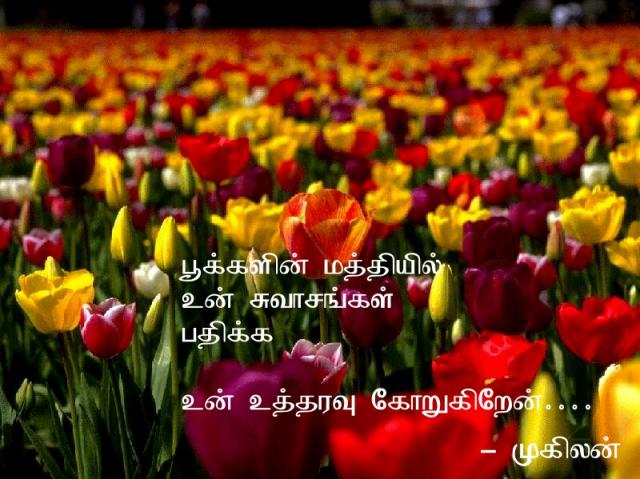 flower