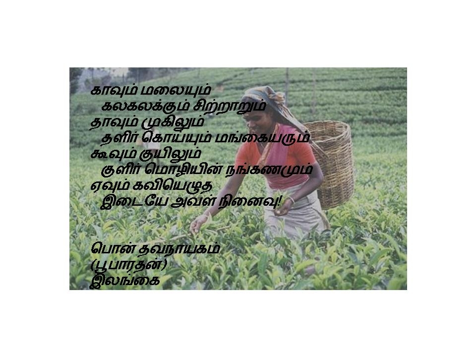 Aval Ninaivu