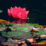 thaamarain mel en thaagam