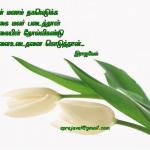 mallikai1