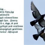 flying1