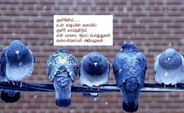 love
