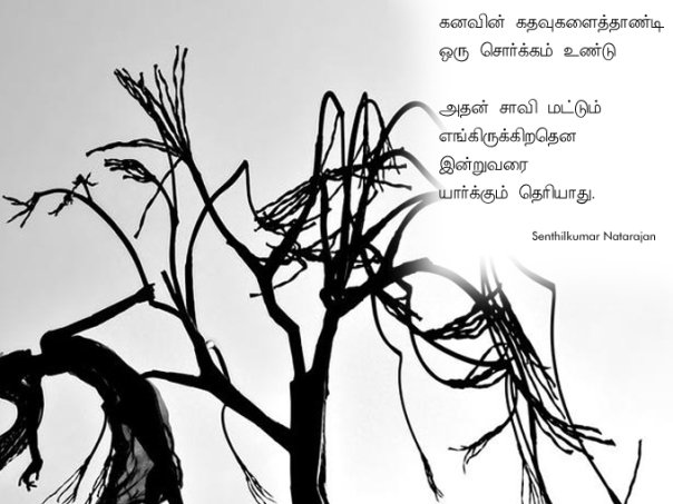 7926_1233630245328_1366324812_30681233_7440186_n