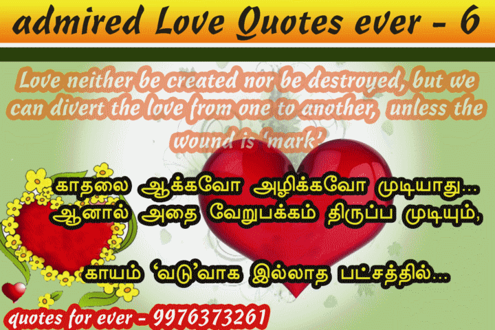 conservation of love