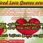 conservation of love