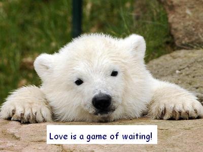 waiting