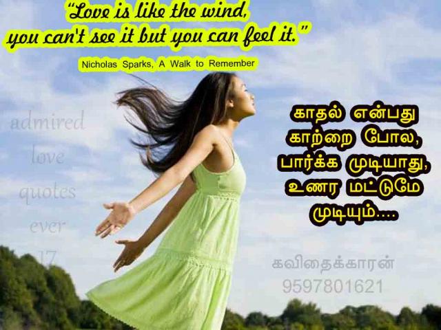 love and wind