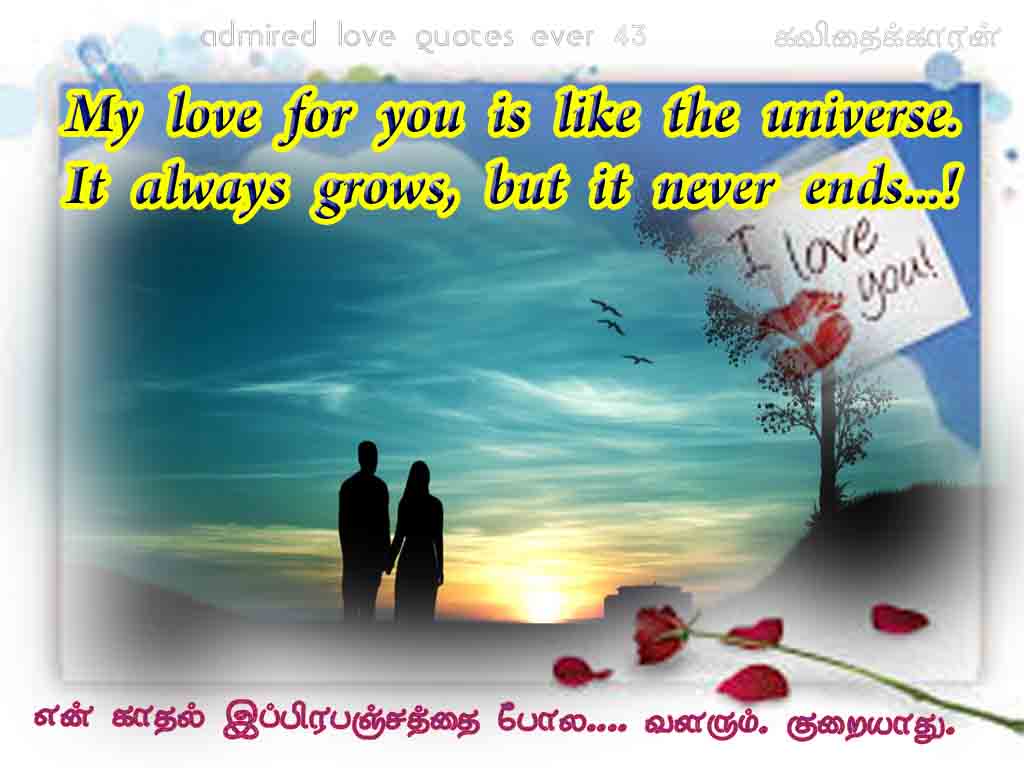 43 love and universe