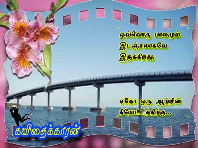 bridge